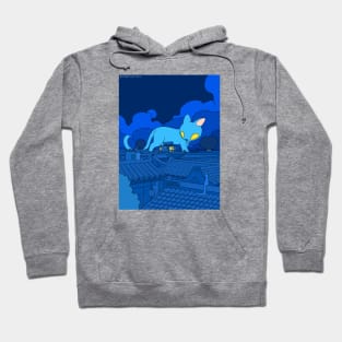 Beijing Night Hoodie